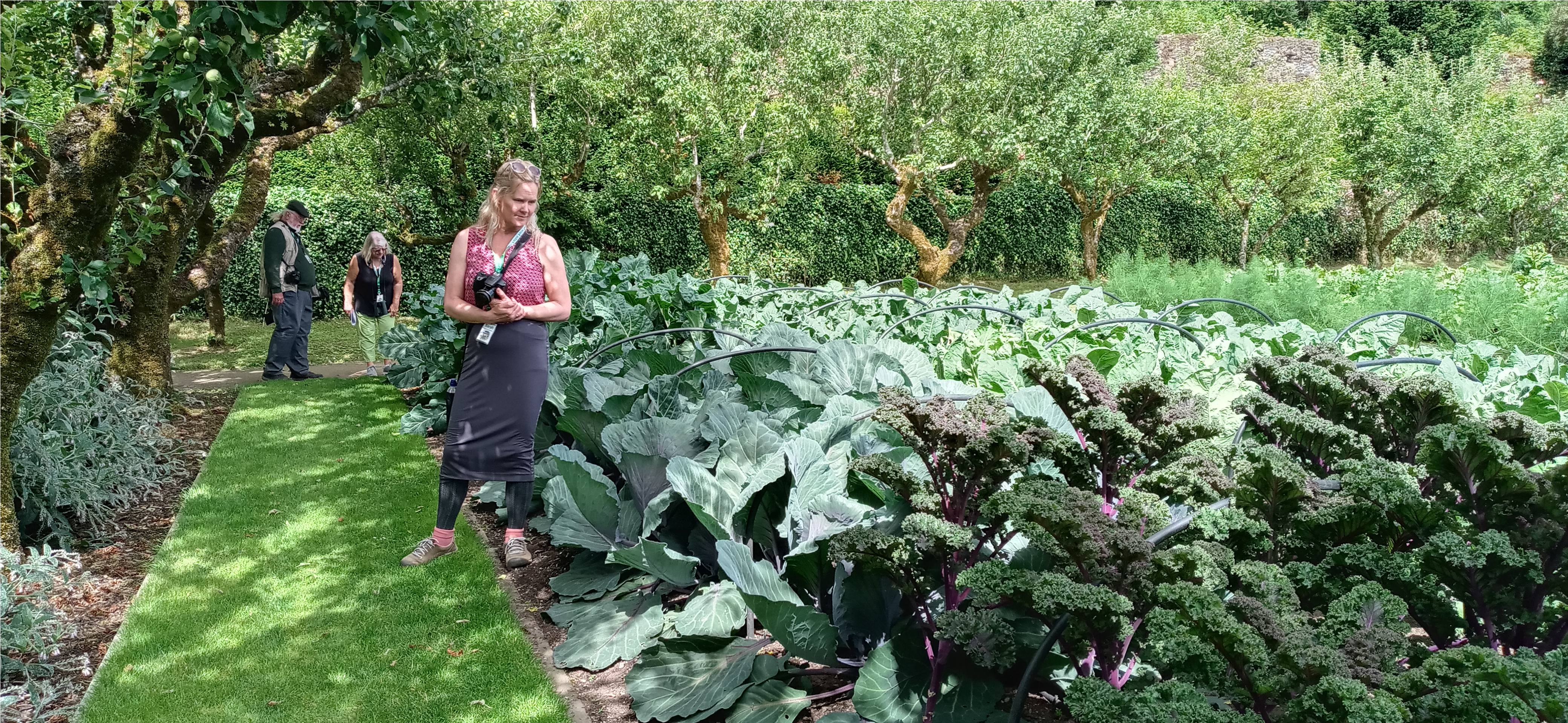 Sarah Rautio standing by a garden of cole crops.